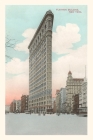 Vintage Journal Flatiron Building, New York By Found Image Press (Producer) Cover Image