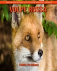 Volpe rossa: Immagini incredibili e fatti divertenti per i bambini By Carolyn Drake Cover Image
