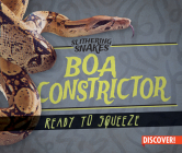Boa Constrictor: Ready to Squeeze (Slithering Snakes) Cover Image
