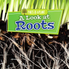 A Look at Roots (Parts of a Plant) By Lindsey Lowe Cover Image