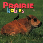 Prairie Babies (Prairie Animals) By Kristen McCurry Cover Image
