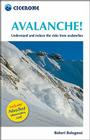 Avalanche!: Assess and reduce risks from Avalanches By Robert Bolognesi Cover Image