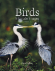 Birds: Intimate Images Volume 2 Cover Image