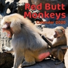 Red Butt Monkeys Calendar 2020 By Hope Huggs, Moon Phase Calendar Cover Image