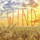 Wind (Weather Explorers) By Harriet Brundle Cover Image
