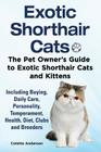 Exotic Shorthair Cats The Pet Owner's Guide to Exotic Shorthair Cats and Kittens Including Buying, Daily Care, Personality, Temperament, Health, Diet, By Colette Anderson Cover Image