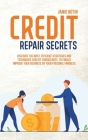 Credit Repair Secrets: Discover The Most Efficient Strategies And Techniques Used By Consultants To Finally Improve Your Business Or Your Per By Jamie Botin Cover Image
