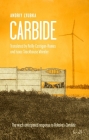 Carbide By Andriy Lyubka, Reilly Costigan-Humes (Translator), Isaac Stachouse Wheeler (Translator) Cover Image