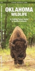 Oklahoma Wildlife: A Folding Pocket Guide to Familiar Animals (Pocket Naturalist Guide) By Waterford Press Cover Image