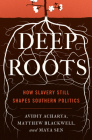 Deep Roots: How Slavery Still Shapes Southern Politics (Princeton Studies in Political Behavior #6) By Avidit Acharya, Matthew Blackwell, Maya Sen Cover Image