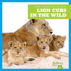 Lion Cubs in the Wild By Marie Brandle Cover Image