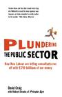 Plundering the Public Sector: How New Labour Are Letting Consultants Run Off with 70 Billion of Our Money By David Craig Cover Image