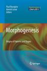 Morphogenesis: Origins of Patterns and Shapes By Paul Bourgine (Editor), Annick Lesne (Editor) Cover Image
