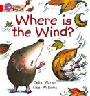 Where is the Wind? Workbook (Collins Big Cat) By Celia Warren, Lisa Williams (Illustrator) Cover Image