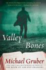 Valley of Bones: A Novel (Jimmy Paz #2) Cover Image