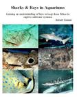Sharks & Rays in Aquariums: Gaining an understanding of how to keep these fishes in captive saltwater systems (Aquarium Success #3) Cover Image