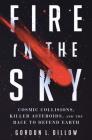 Fire in the Sky: Cosmic Collisions, Killer Asteroids, and the Race to Defend Earth By Gordon L. Dillow Cover Image