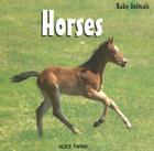 Horses (Baby Animals) By Alice Twine Cover Image