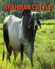 Brahman Cattle: Learn About Brahman Cattle and Enjoy Colorful Pictures By Diane Jackson Cover Image