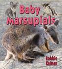 Baby Marsupials (It's Fun to Learn about Baby Animals) Cover Image