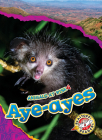 Aye-Ayes (Animals at Risk) By Rachel Grack Cover Image