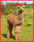 Alpaca: Amazing Facts about Alpaca By Matilde Sopher Cover Image