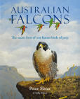 Australian Falcons By Peter Slater, Sally Elmer Cover Image