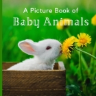 A Picture Book of Baby Animals: A Beautiful Picture Book for Seniors With Alzheimer's or Dementia. Cover Image