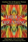 Drugs of the Dreaming: Oneirogens:  Salvia divinorum and Other Dream-Enhancing Plants By Gianluca Toro, Benjamin Thomas, Jonathan Ott (Foreword by) Cover Image