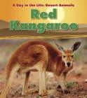 Red Kangaroo (Day in the Life: Desert Animals (Library)) Cover Image