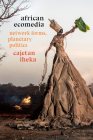 African Ecomedia: Network Forms, Planetary Politics By Cajetan Iheka Cover Image