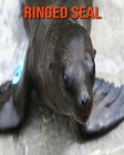 Ringed Seal: Amazing Facts about Ringed Seal By Devin Haines Cover Image