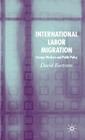 International Labour Migration: Foreign Workers and Public Policy By D. Bartram Cover Image
