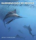 Glorious Gulf of Mexico: Life Below the Blue (Gulf Coast Books, sponsored by Texas A&M University-Corpus Christi #28) By Jesse Cancelmo, John W. Tunnell, Jr. (Foreword by) Cover Image