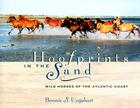 Hoofprints in the Sand: Wild Horses of the Atlantic Coast Cover Image