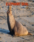 Elephant Seal: Amazing Facts about Elephant Seal By Devin Haines Cover Image