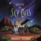 Where the Sky Lives By Margaret Dilloway, Gail Shalan (Read by) Cover Image