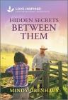 Hidden Secrets Between Them: An Uplifting Inspirational Romance Cover Image