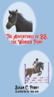 The Adventures of BB, the Wonder Pony By Susan C. Perry, Thea Han (Illustrator) Cover Image