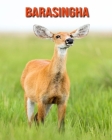Barasingha: Schöne Bilder & Kinderbuch mit interessanten Fakten über Barasingha Cover Image