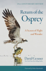 Return of the Osprey: A Season of Flight and Wonder By David Gessner, Helen MacDonald (Foreword by) Cover Image