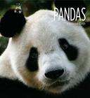Living Wild: Pandas Cover Image