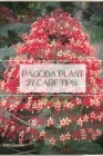 Pagoda Plant 27 Care Tips: Plant Guide By Sergy Savosh Cover Image
