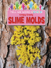 Creepy Crawly Slime Molds By Ruth Owen Cover Image