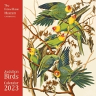 Fitzwilliam Museum: Audubon Birds Wall Calendar 2023 (Art Calendar) By Flame Tree Studio (Created by) Cover Image