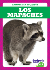 Los Mapaches (Raccoons) By Genevieve Nilsen Cover Image