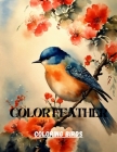 Color Feather Cover Image