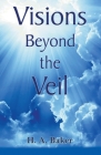 Visions Beyond The Veil Cover Image