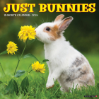 Just Bunnies 2024 12 X 12 Wall Calendar By Willow Creek Press Cover Image