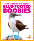 Blue-Footed Boobies By Alicia Z. Klepeis Cover Image